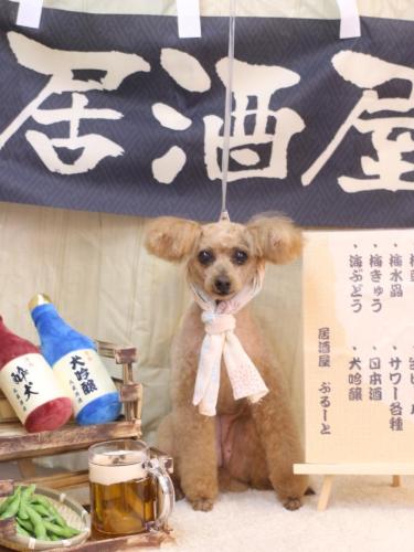 20240616ももちゃん